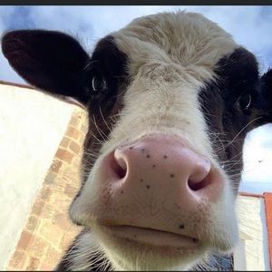 Meet your Posher, Karlyn